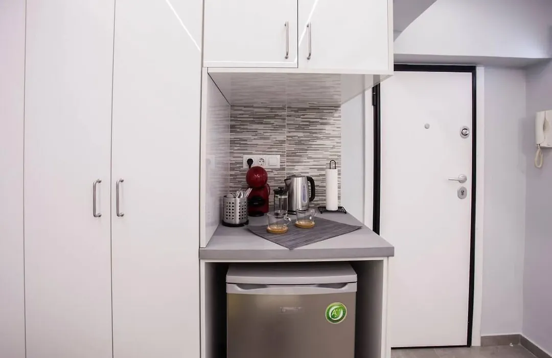 Exclusive New Modern Apartment At Syntagma Square-1